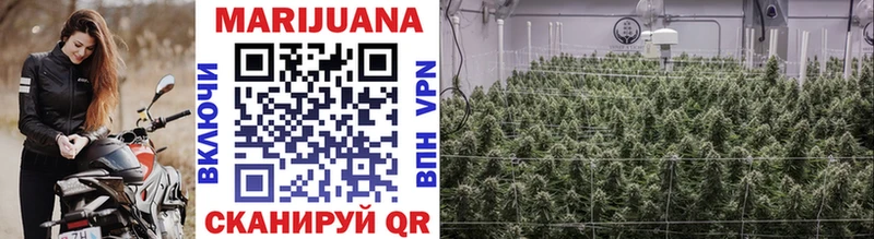 Каннабис индика  Рязань 